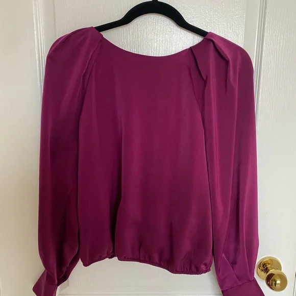 Dynamite Romy Open-Back Silky Blouse - Picture 6 of 15